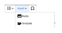Insert menu options