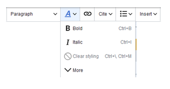 opened text formatting menu showing the available shortcuts
