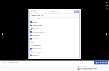 Screenshot media viewer overlay