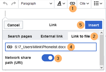 Insert local file link