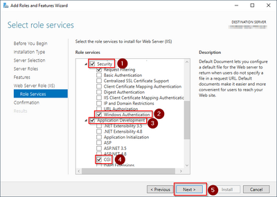 IIS Webserver 08