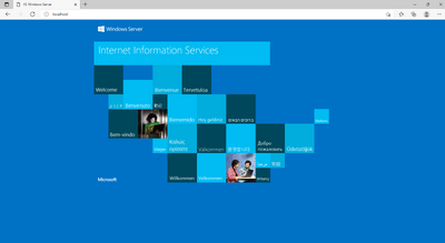 IIS Webserver 11