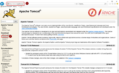 Tomcat Download 01