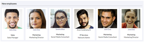 Screenshot of the employees gallery