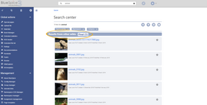 650px-InterwikiSearch1a.png