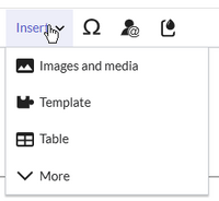 Insert menu options