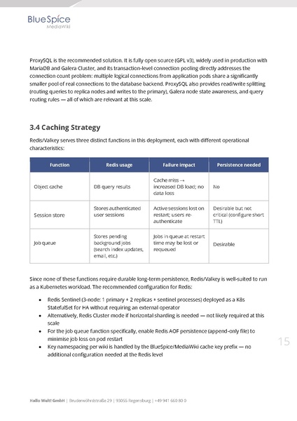 File:Whitepaper BlueSpice at Enterprise Scale EN.pdf