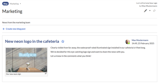 A page named "Marketing" in the namespace "Blog"