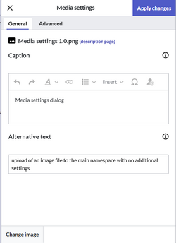 General settings with a caption an the alternative text for the image